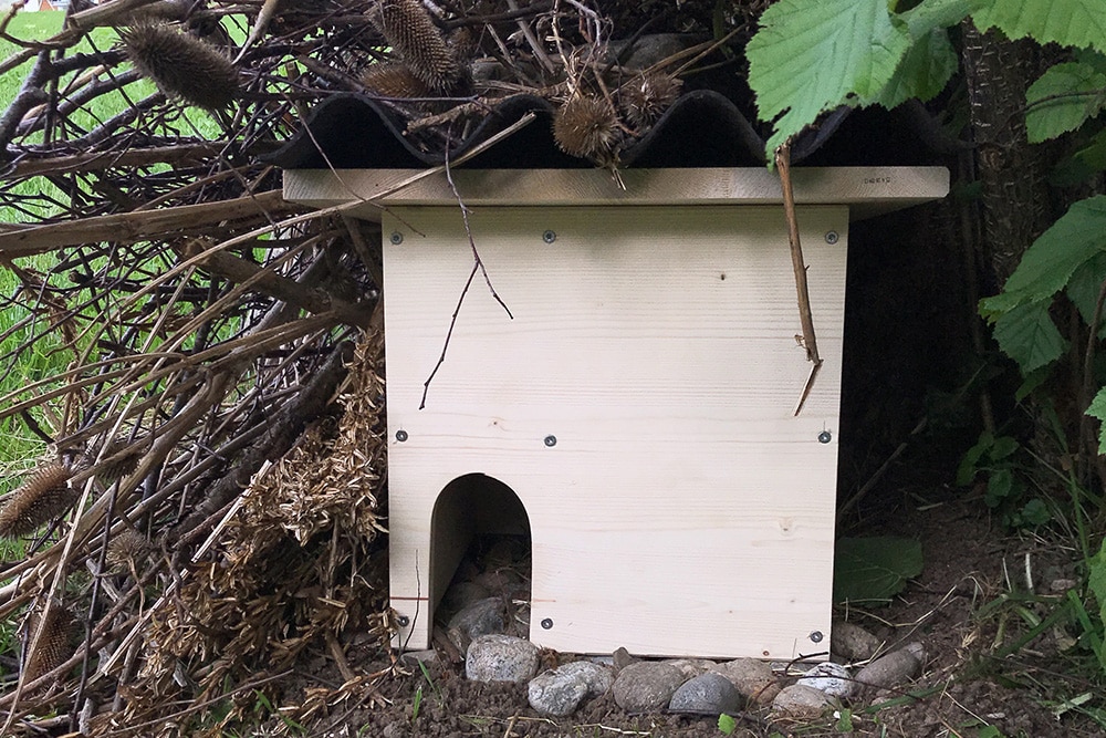 Comment créer un abri pour les hérissons ? - ID Habitat